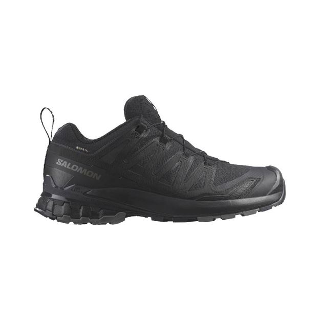 Picture of SALOMON XA PRO 3D GTX BLK/PHN